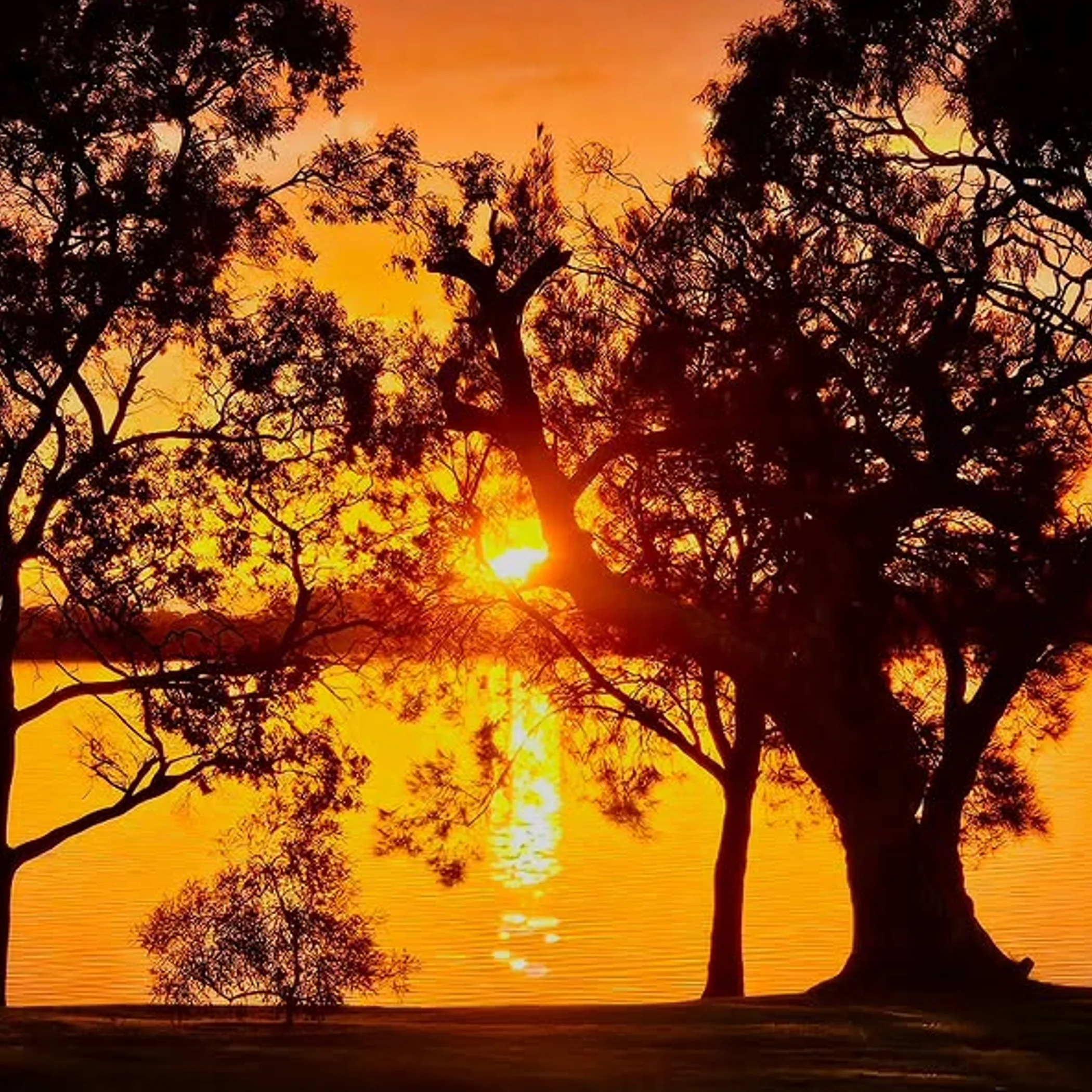 sunset over lake with clear sky