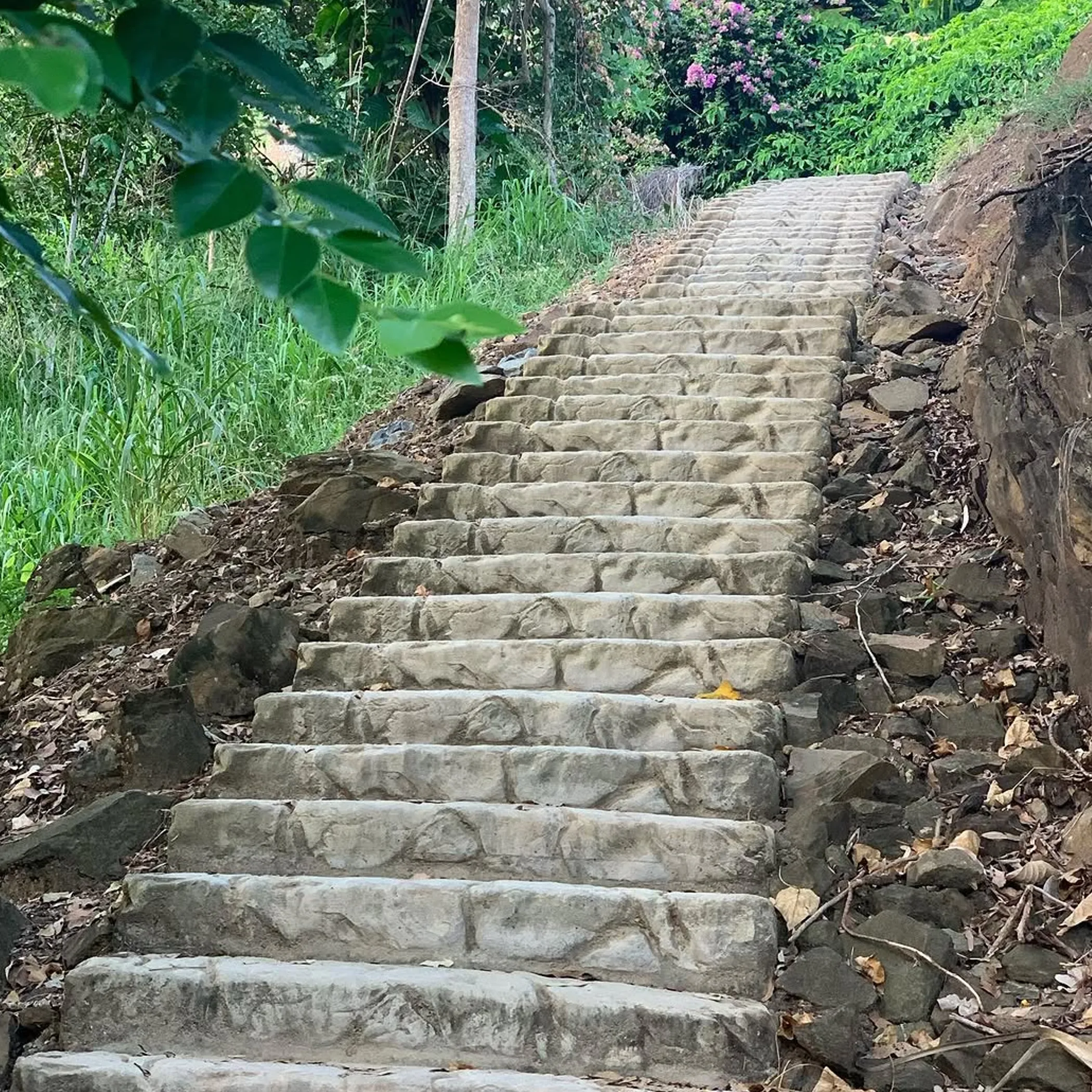 stone steps on hiking trail