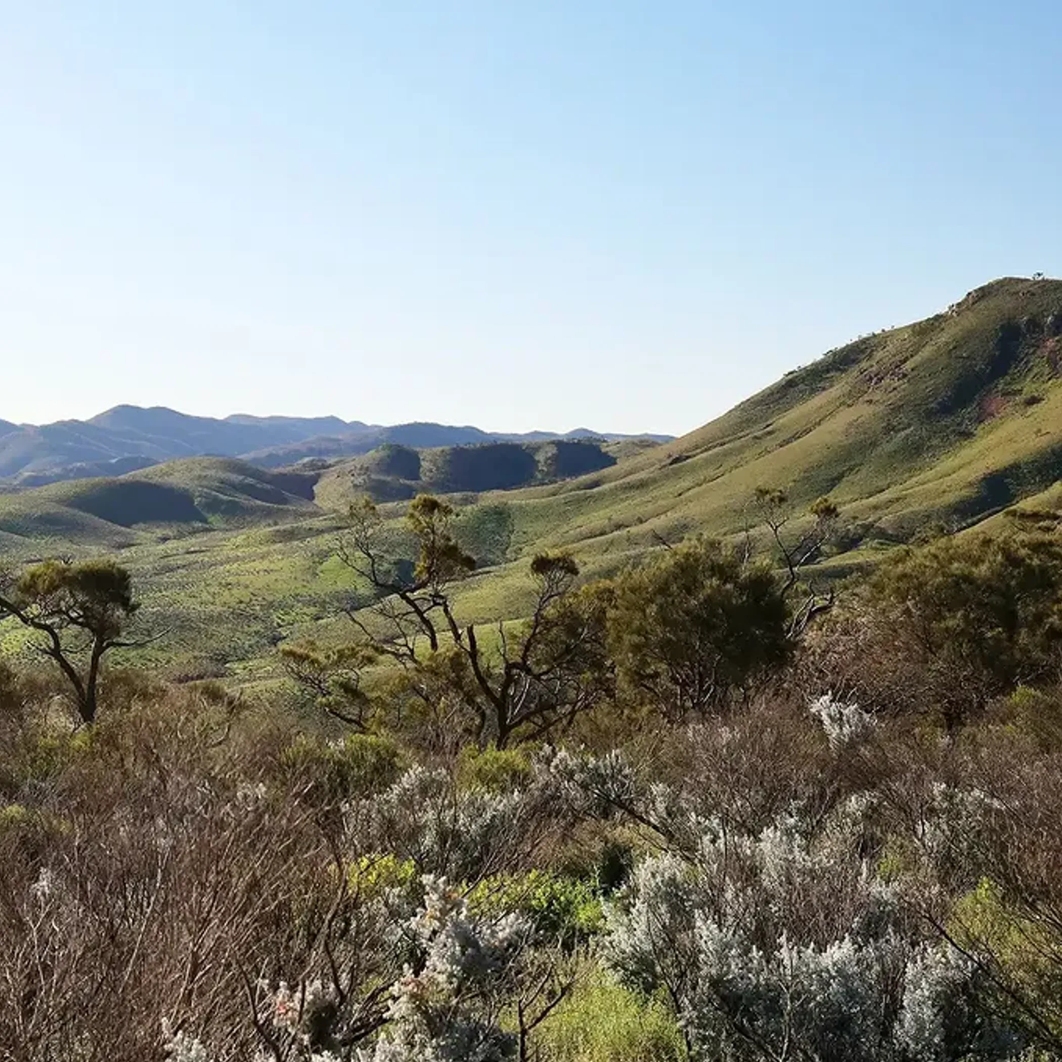 clear sunny landscape in south australia