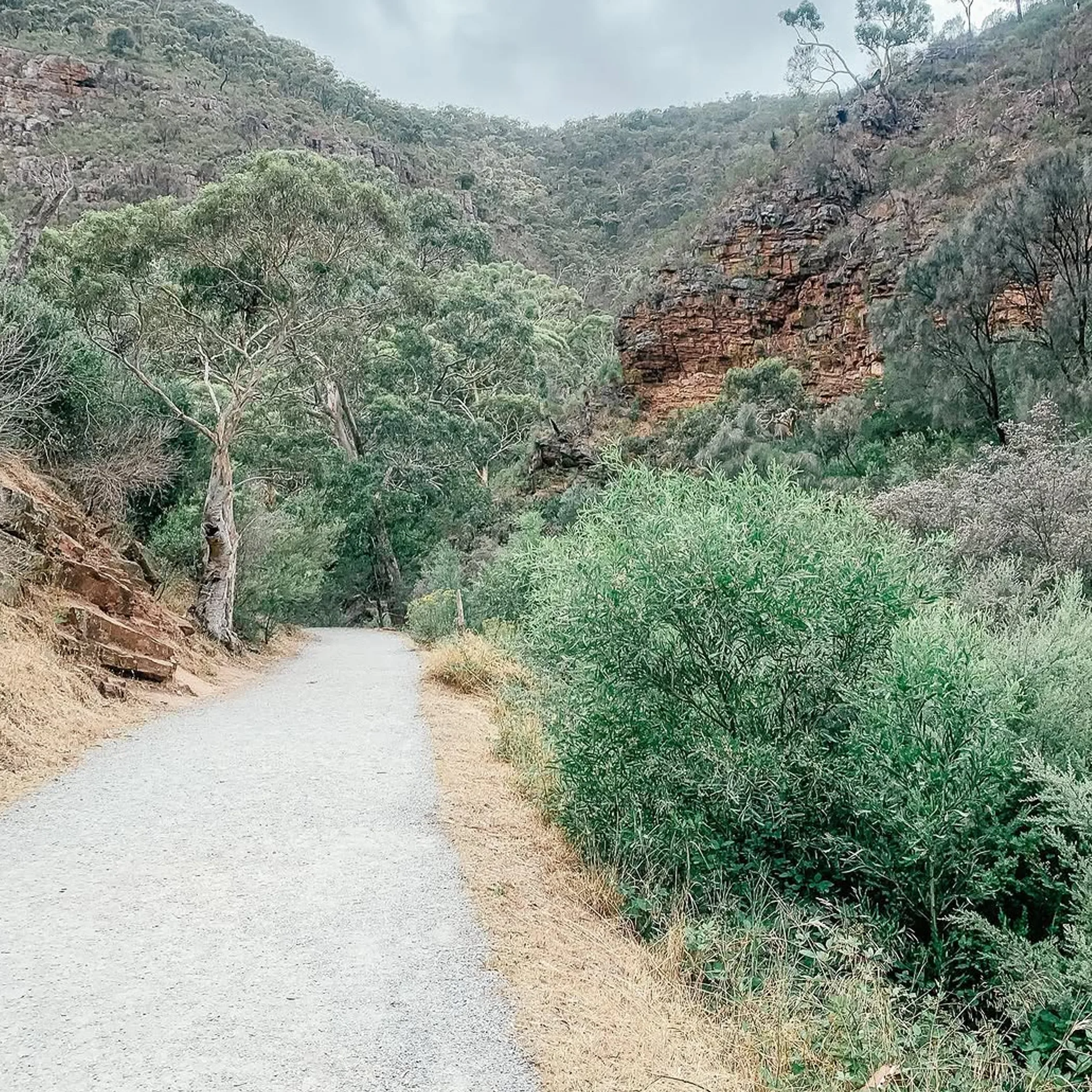 hiking trail in australian national park