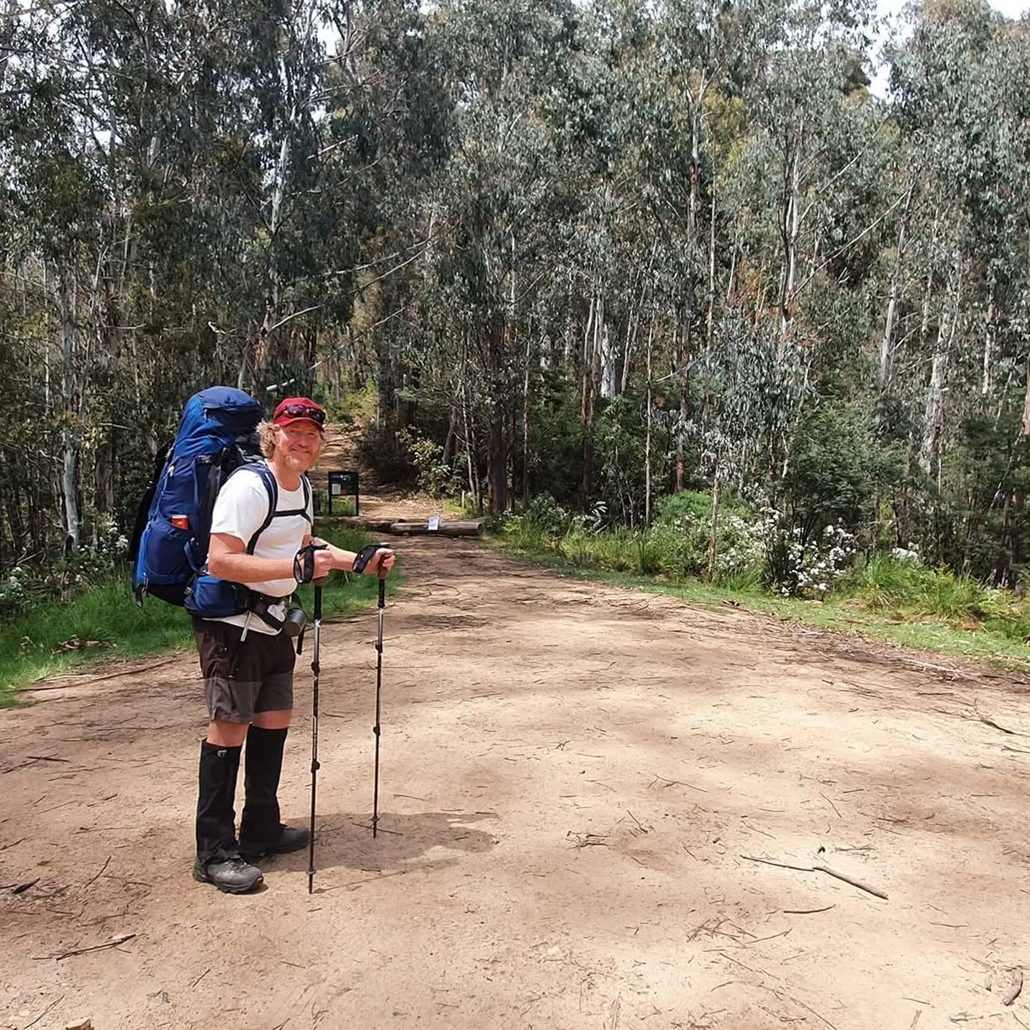 hiker walking on forest trail