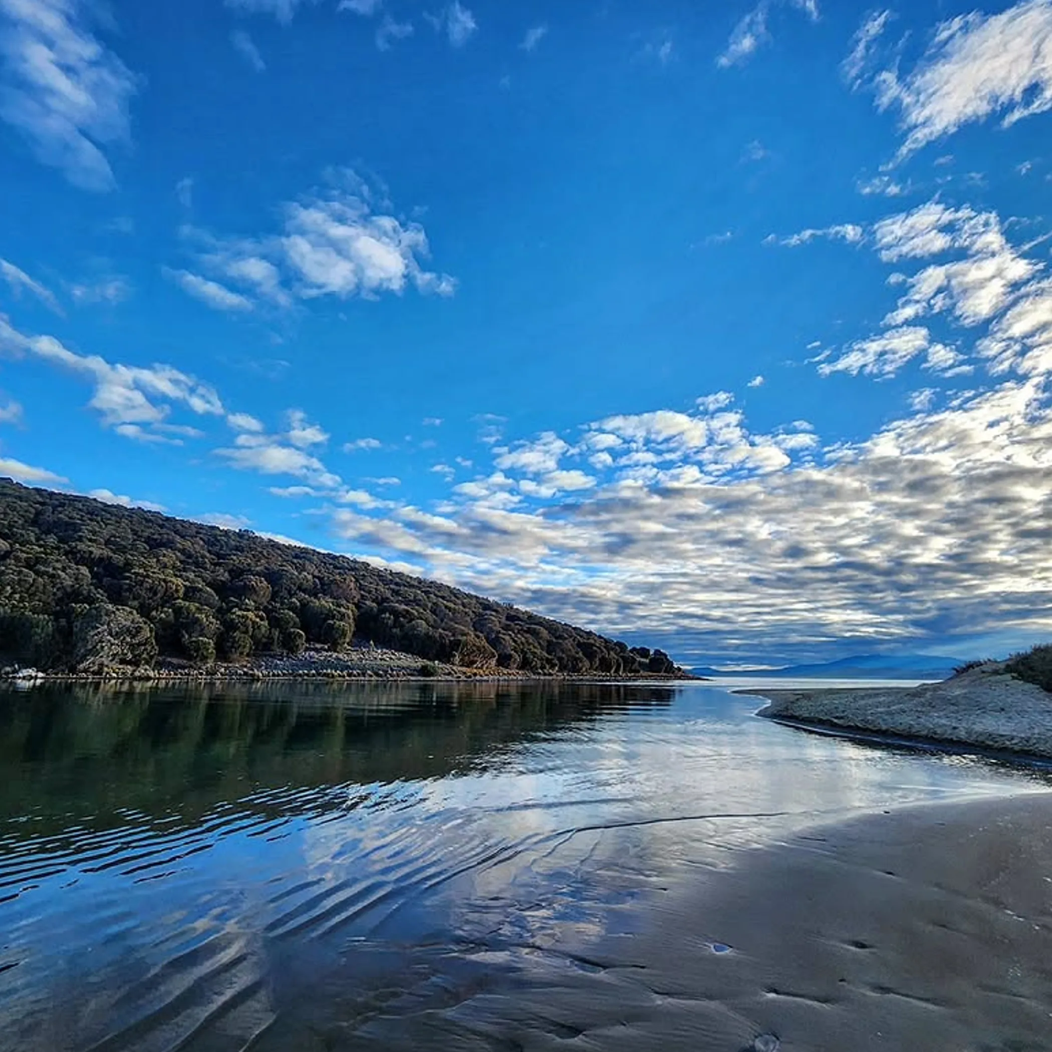 tasmanian beach with clear sky