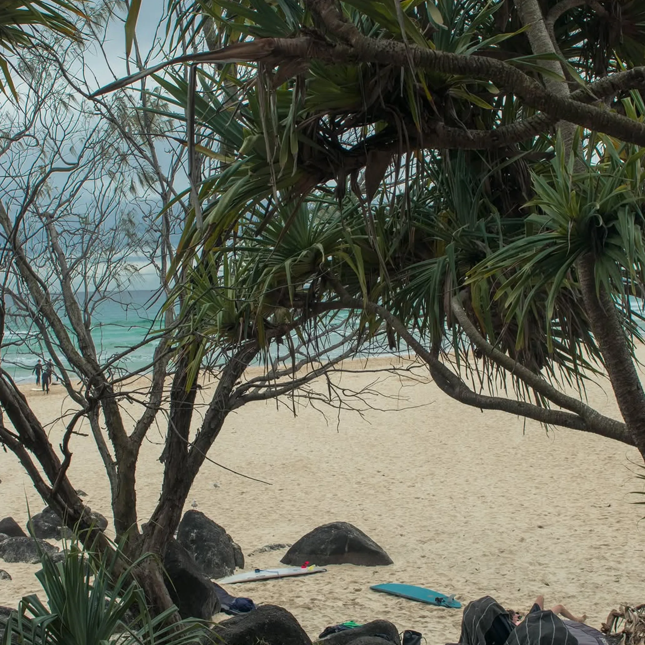 east coast australia beach with surfboards