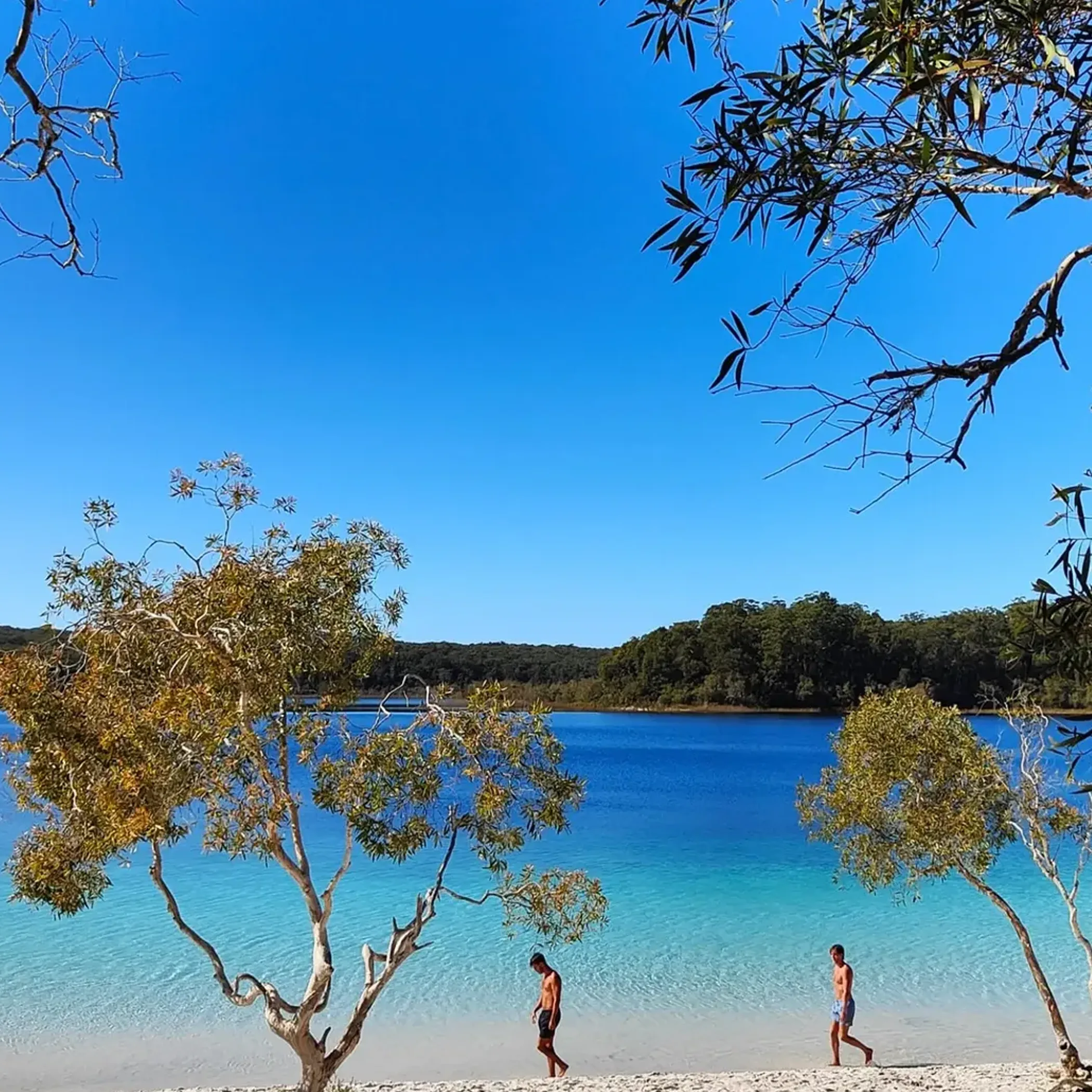 k'gari turquoise freshwater beach landscape