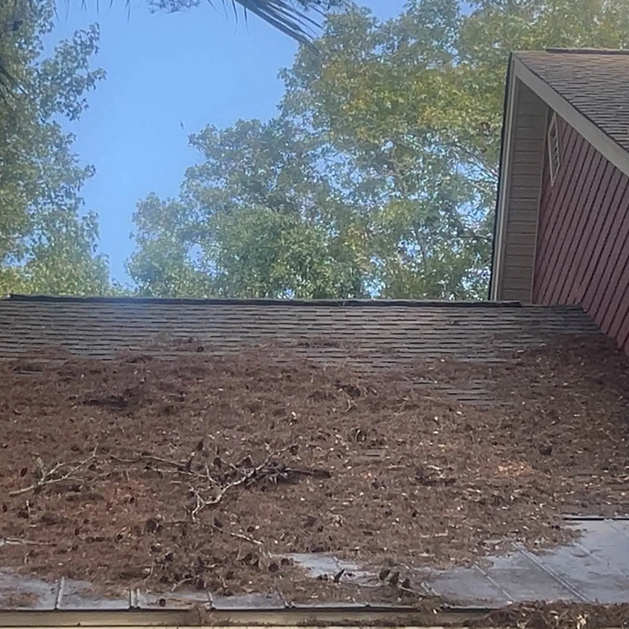 roof and gutter buildup